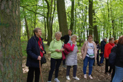 436036374_823788829779466_1729212454042609788_n