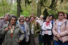 436497752_823783306446685_6461972459317980458_n